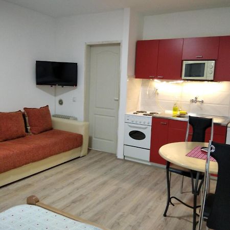 Apartman 4 - Studio Janja Soko Banja Exteriér fotografie