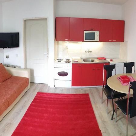 Apartman 4 - Studio Janja Soko Banja Exteriér fotografie