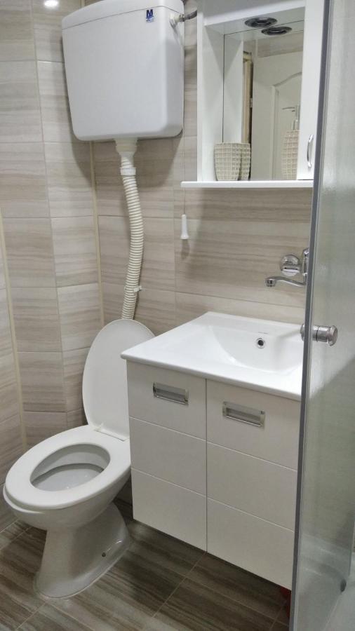Apartman 4 - Studio Janja Soko Banja Exteriér fotografie