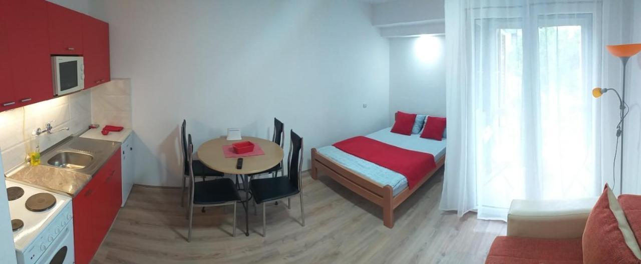 Apartman 4 - Studio Janja Soko Banja Exteriér fotografie