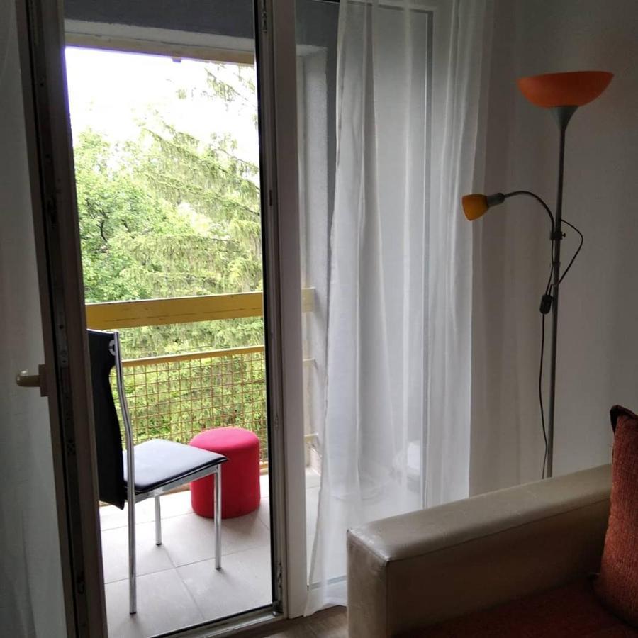 Apartman 4 - Studio Janja Soko Banja Exteriér fotografie