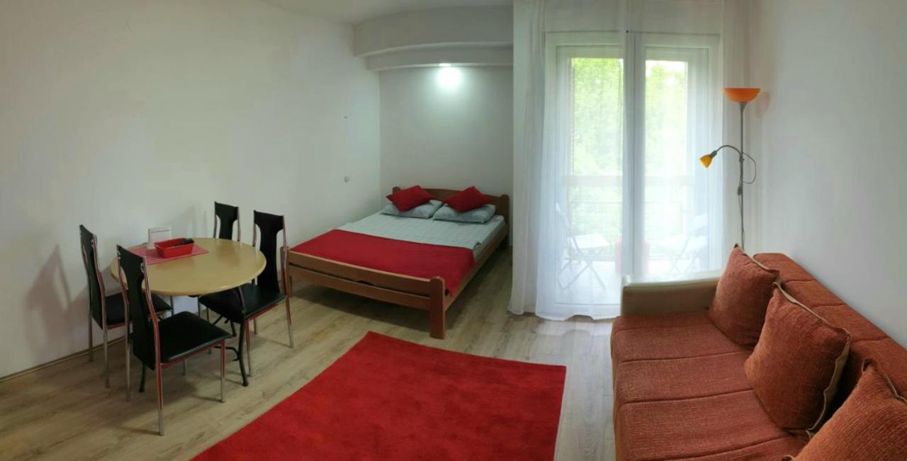 Apartman 4 - Studio Janja Soko Banja Exteriér fotografie