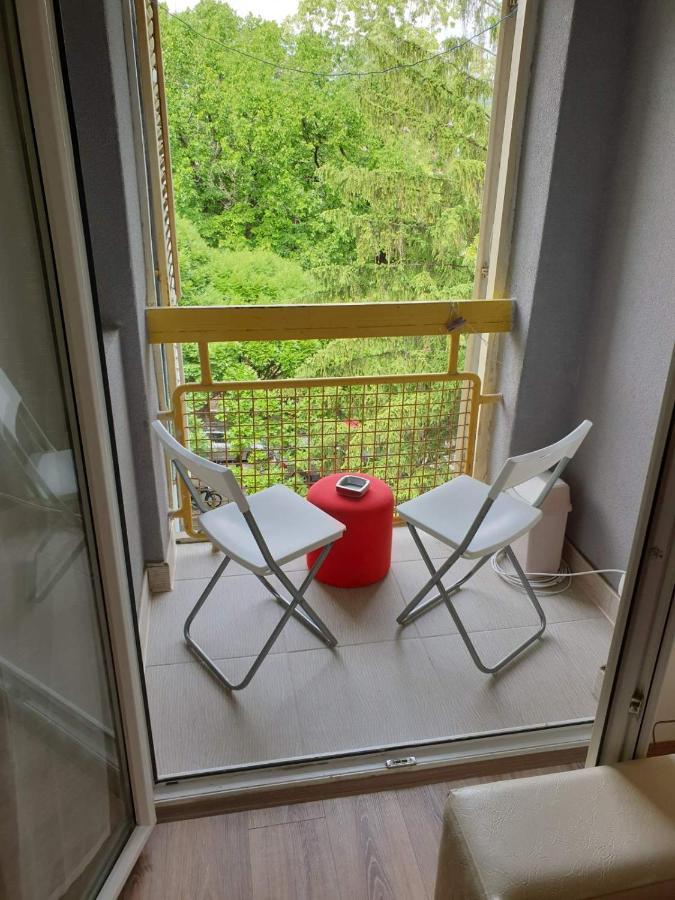 Apartman 4 - Studio Janja Soko Banja Exteriér fotografie