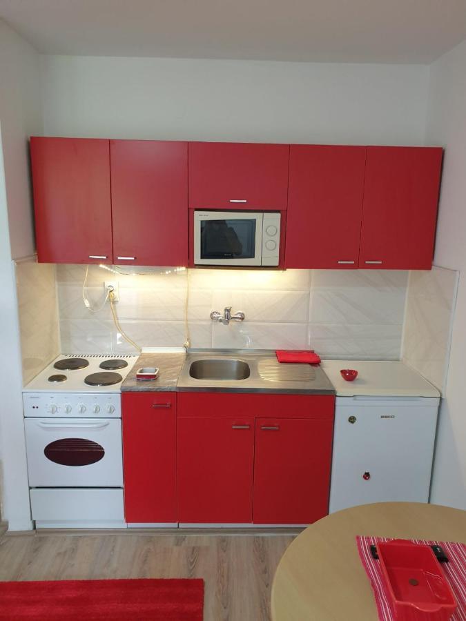 Apartman 4 - Studio Janja Soko Banja Exteriér fotografie