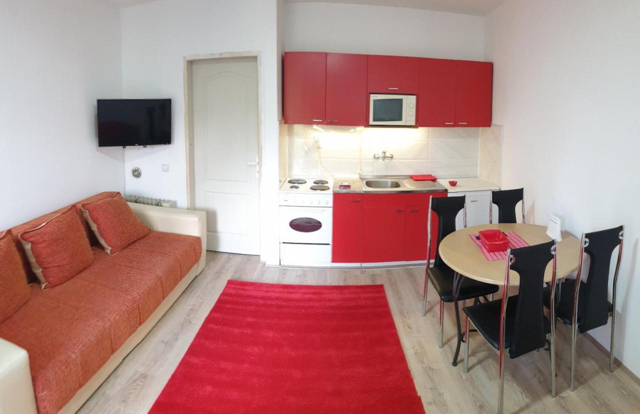 Apartman 4 - Studio Janja Soko Banja Exteriér fotografie